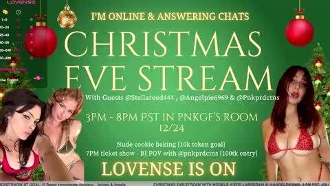 Angel Pie online show from December 24, 11:05 pm