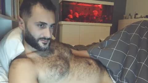 hairycub online show from December 24, 9:48 pm