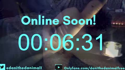 danithedanimal online show from December 7, 1:52 am