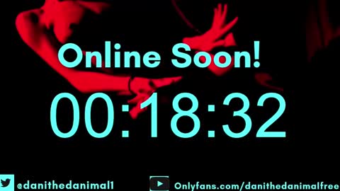 danithedanimal online show from December 9, 3:33 am