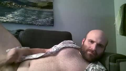 Hairiest Bear online show from November 16, 4:22 am