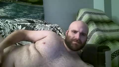 Hairiest Bear online show from November 21, 2:59 am