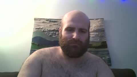 Hairiest Bear online show from December 13, 7:04 am