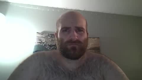 Hairiest Bear online show from December 28, 7:44 pm