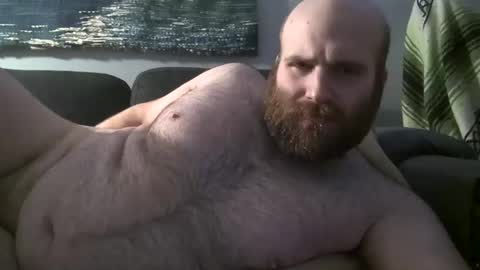 Hairiest Bear online show from December 14, 7:52 am