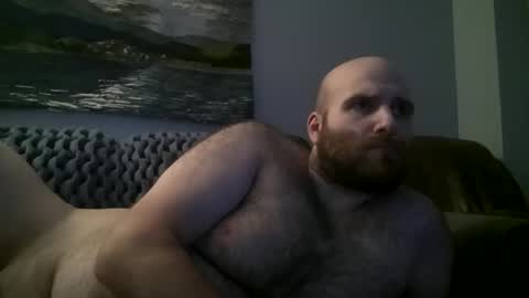 Hairiest Bear online show from January 11, 9:53 am