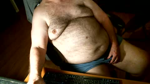 hairybear813 online show from December 22, 3:00 am