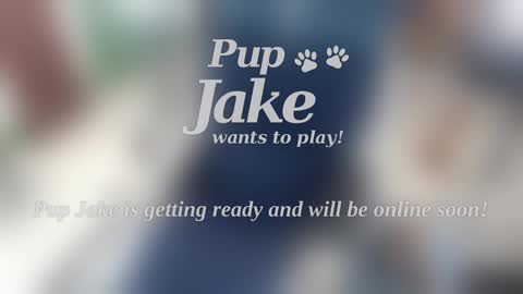 Pup Jake wants to play online show from January 5, 12:53 pm