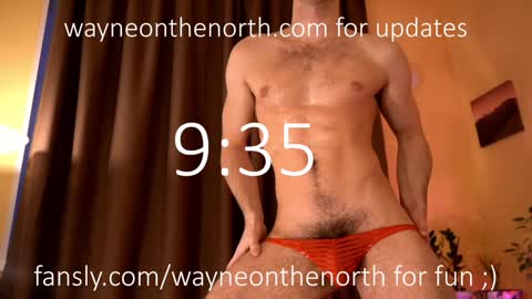 waynenorth online show from November 12, 4:47 pm