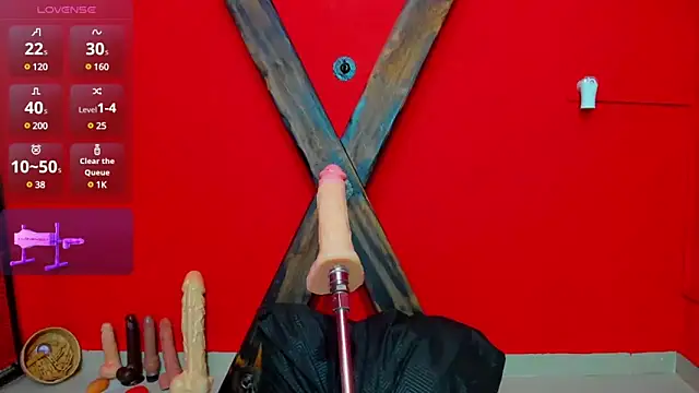 EVADANGERBDSM online show from December 29, 4:33 am